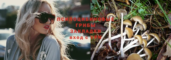 хмурый Алексеевка