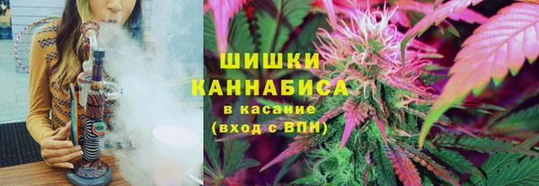 амф Алзамай