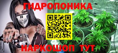 стафф Абакан