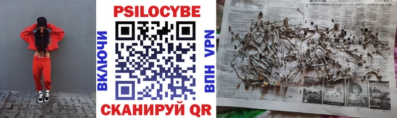 закладка  Апатиты  Галлюциногенные грибы мицелий 