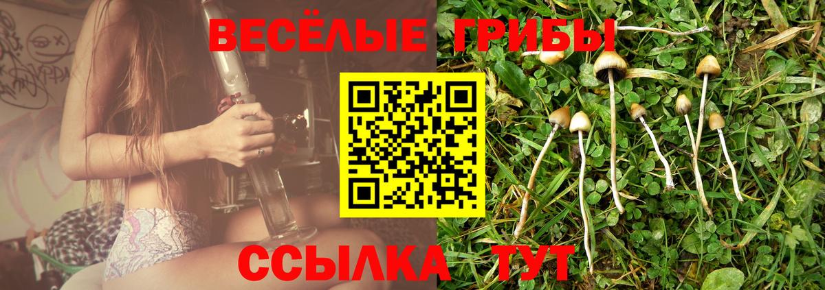Галлюциногенные грибы прущие грибы  магазин продажи наркотиков  Вход с VPN  Апатиты  Галлюциногенные грибы Psilocybine cubensis 