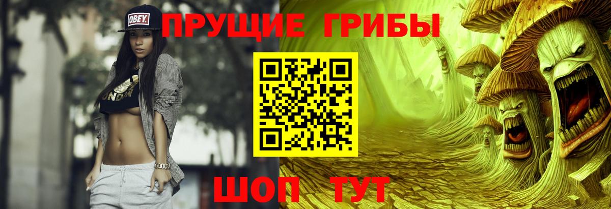 Галлюциногенные грибы GOLDEN TEACHER Апатиты