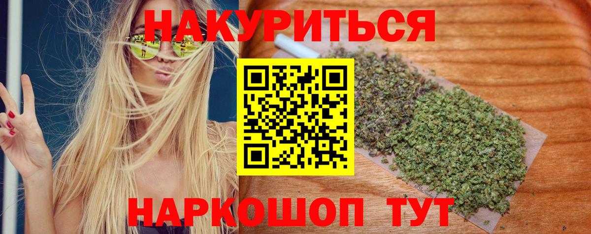 Конопля планчик Апатиты